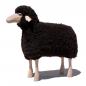 Preview: sheep, curly brown fur, beech wood