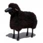 Mobile Preview: Schaf, gelocktes braunes Fell, schwarzes Holz