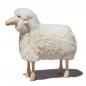 Preview: Schaf, gelocktes weißes Fell, Kiefer ("outdoor")