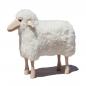 Preview: sheep, small, curly white fur, beech wood