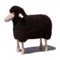 Preview: Schaf, klein, gelocktes braunes Fell, Buche