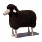 Preview: sheep, small, curly brown fur, beech wood