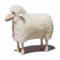 Preview: sheep, small, curly white fur, pine wood ("outdoor")