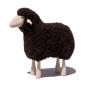 Preview: lamb, curly brown fur, beech wood