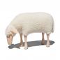 Preview: Schaf, klein, grasend, weißer Wollplüsch, Buche