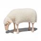 Preview: sheep, small, grazing, white wool plush, beech wood