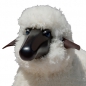 Preview: sheep, curly white fur, black coloured wood