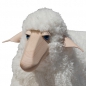 Preview: sheep, small, curly white fur, beech wood