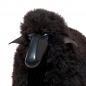 Preview: sheep, small, curly brown fur, black coloured wood