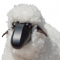 Preview: lamb, curly white fur, black coloured wood