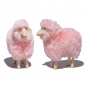 Preview: lamb, pink fur, pine wood