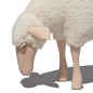 Preview: Schaf, klein, grasend, weißer Wollplüsch, Buche