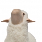 Preview: lamb, nosy, white wool plush, beech wood