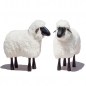 Preview: lamb, curly white fur, black coloured wood