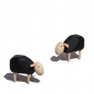 Preview: super tiny sheep, grazing, beech wood, different colours