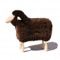 Preview: small sheep, brown curly fur, pine wood