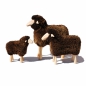 Preview: small sheep, brown curly fur, pine wood