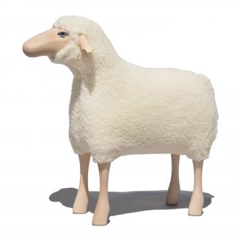 sheep, white wool plush, beech wood