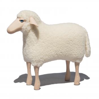 sheep, small, white wool plush, beech wood