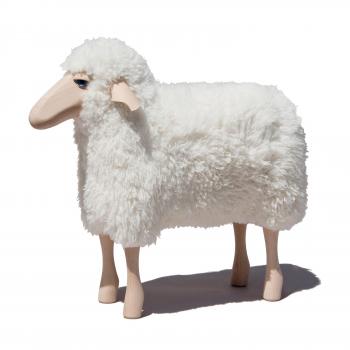 Schaf, klein, gelocktes weißes Fell, Buche