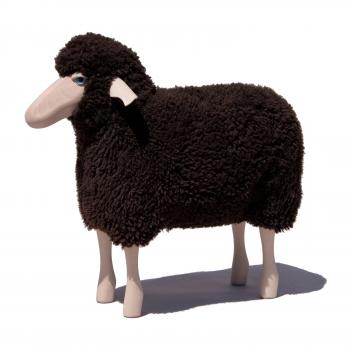 Schaf, klein, gelocktes braunes Fell, Buche