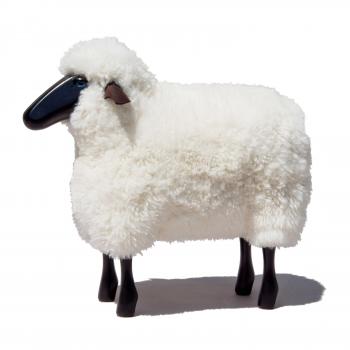 sheep, small, curly white fur, black coloured wood