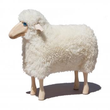 sheep, small, curly white fur, pine wood ("outdoor")