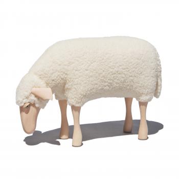 Schaf, klein, grasend, weißer Wollplüsch, Buche