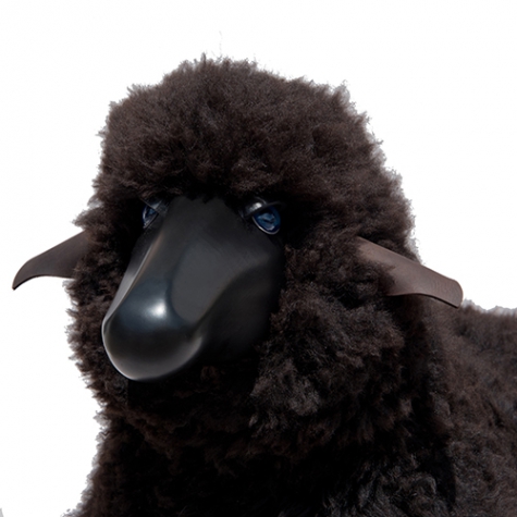 sheep, curly brown fur, black coloured wood