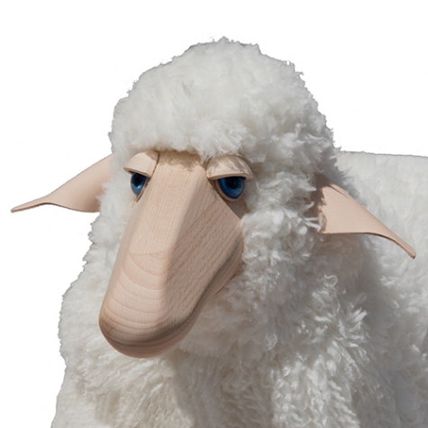 Schaf, klein, gelocktes weißes Fell, Buche