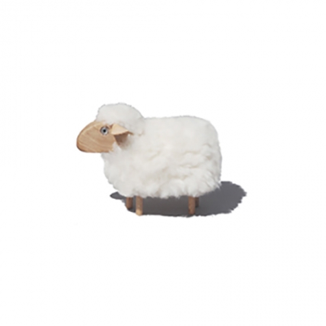 super tiny sheep, white fur, beech wood