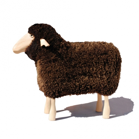 small sheep, brown curly fur, pine wood