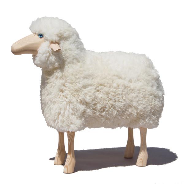 Schaf, gelocktes weißes Fell, Kiefer ("outdoor")
